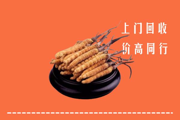 巢湖回收散虫草